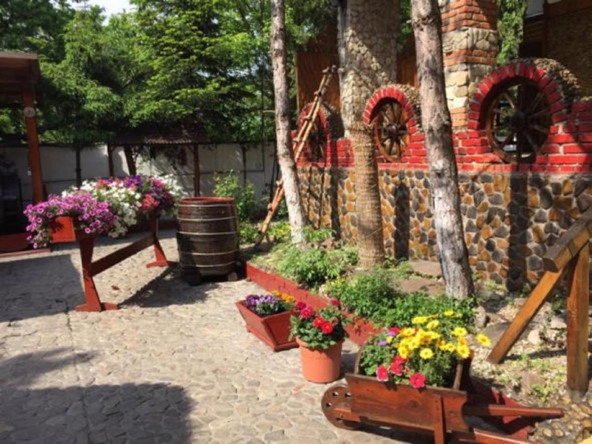 Hotel Casa Romaneasca Otopeni Dış mekan fotoğraf